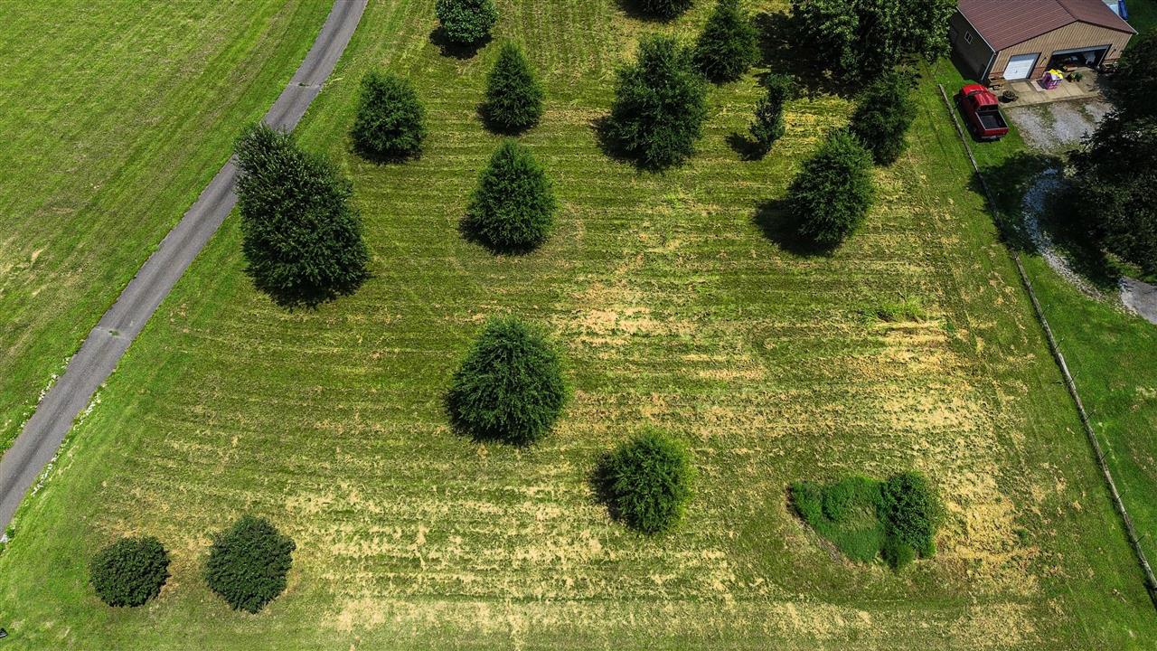 0 Boat Ramp Road Franklin, KY 42134 - Photo 11 of 21 Gallery Image 11