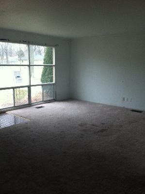 327 East Dennis Road Wheeling, IL 60090 - Photo 4 of 13