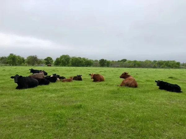 $1,700 | 923 County Road 138, Cameron, TX 76520