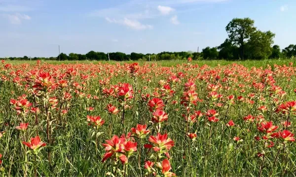 $1,700 | 923 County Road 138, Cameron, TX 76520