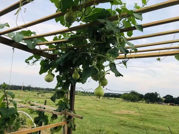 $1,700 | 923 County Road 138, Cameron, TX 76520