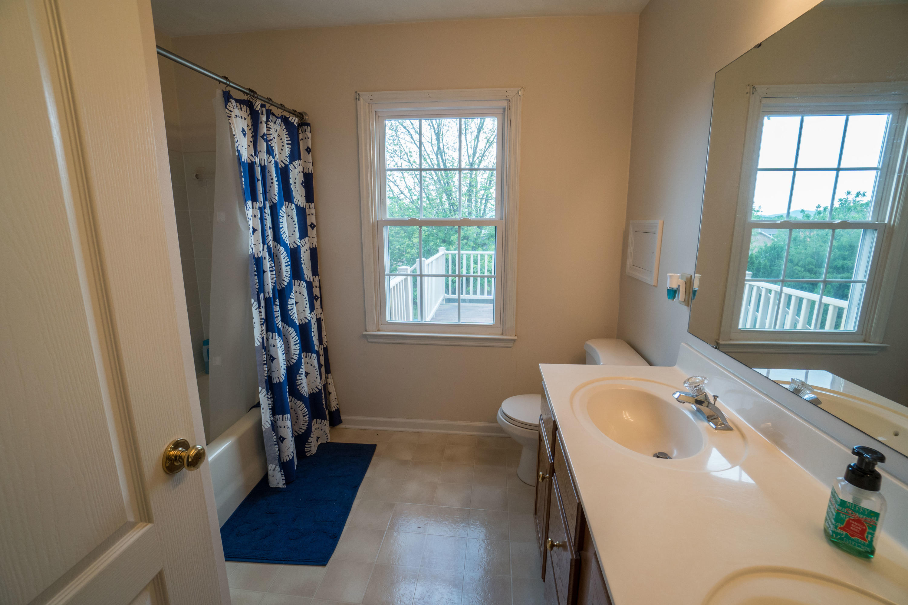 2045 Mountain View Road Vinton, VA 24179 - Photo 10 of 32 Full Bath Entry