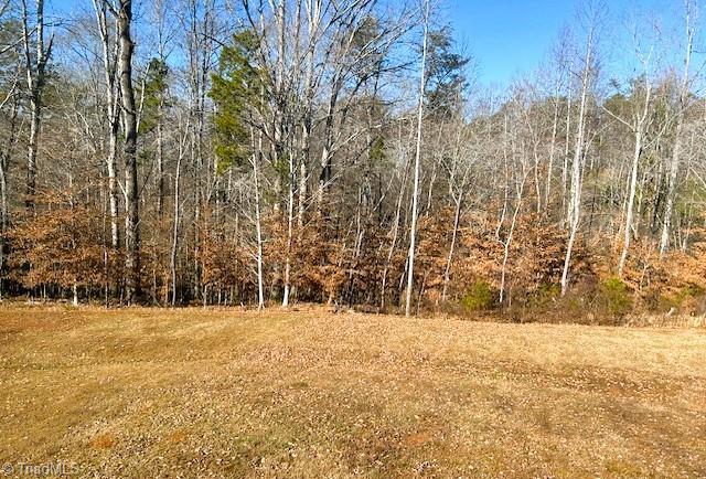 6801 Capstone Court Rural Hall, NC 27045 - Photo 32 of 39