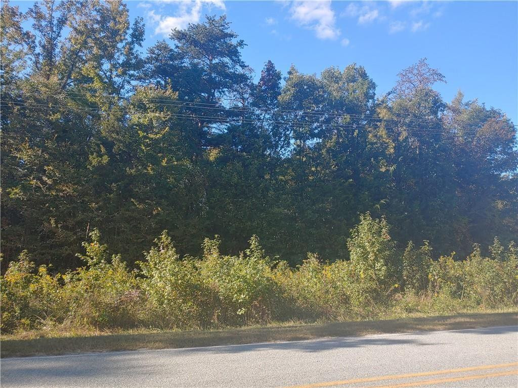0 Roxboro Lake Road Leasburg, NC 27291 - Photo 1 of 6 Gallery Image 1