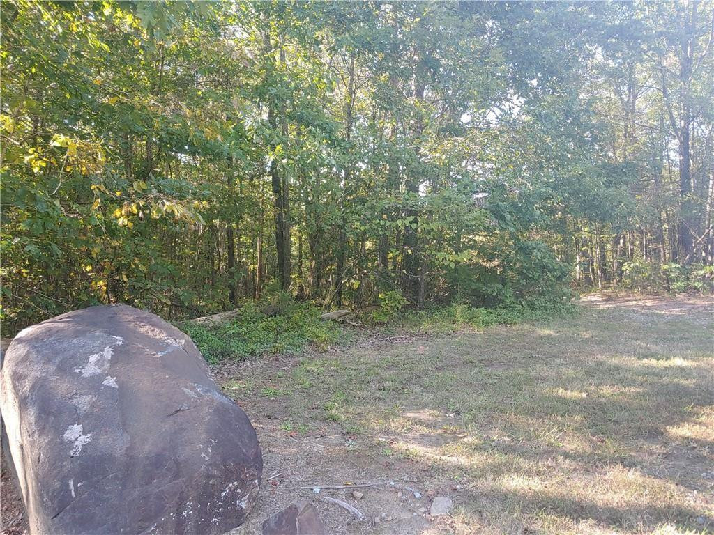 0 Roxboro Lake Road Leasburg, NC 27291 - Photo 3 of 6 Gallery Image 3