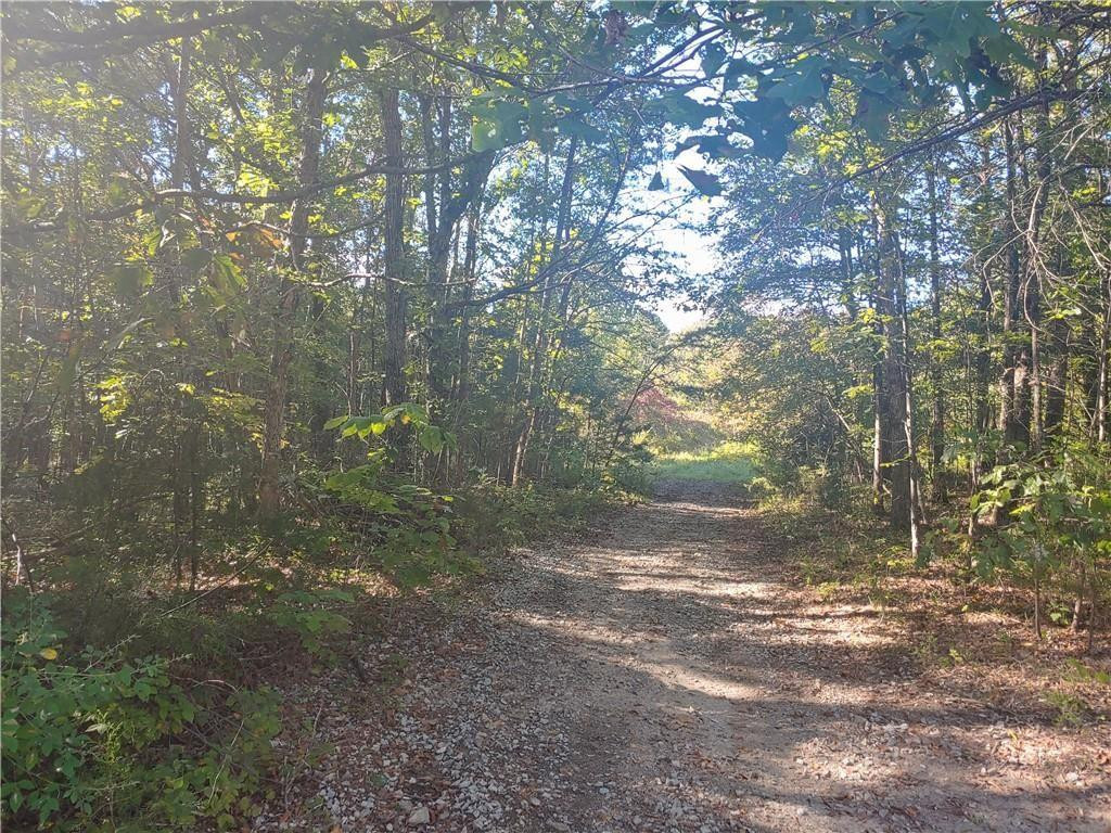 0 Roxboro Lake Road Leasburg, NC 27291 - Photo 4 of 6 Gallery Image 4