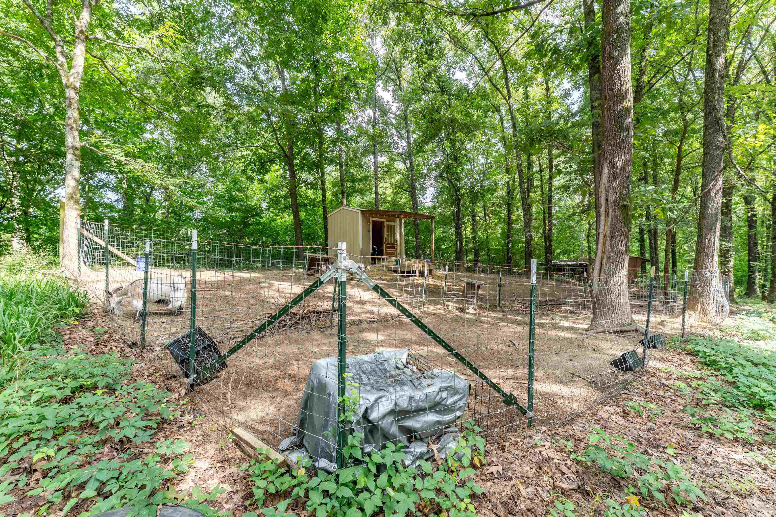 2665 McCraw Loop Mason, TN 38049 - Photo 14 of 34