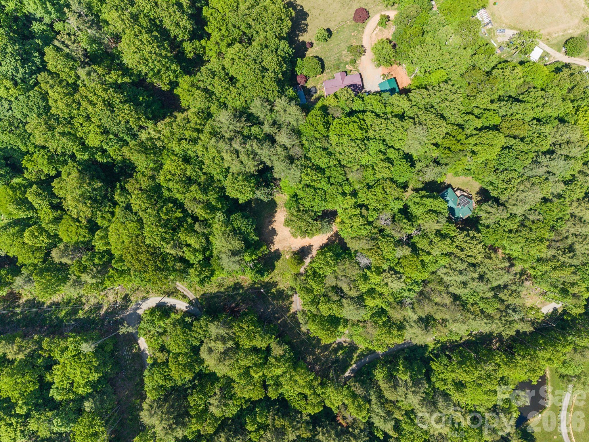 31 White Bridge Road Weaverville, NC 28787 - Photo 12 of 14
