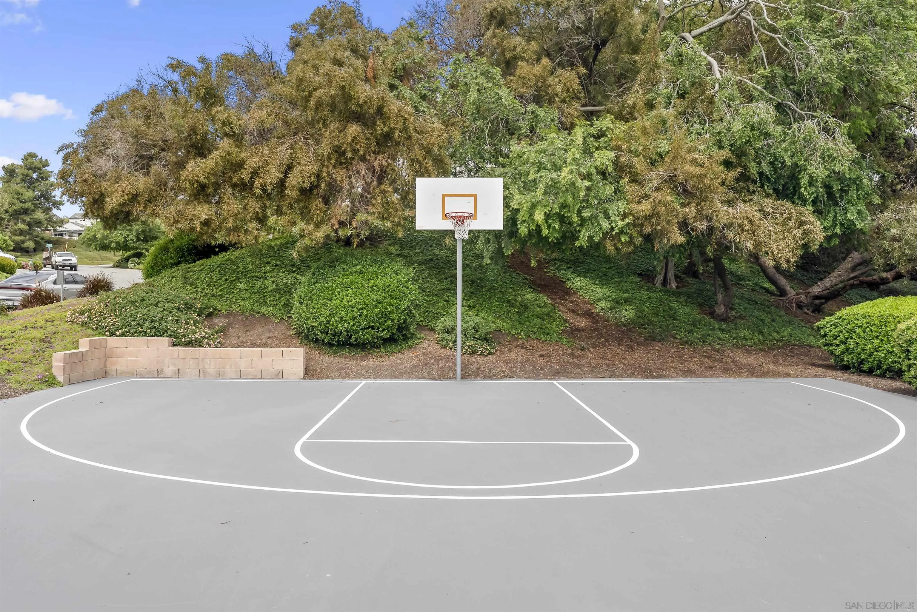 2691 Coventry Road Carlsbad, CA 92010 - Photo 15 of 19 a swimming pool with tall trees