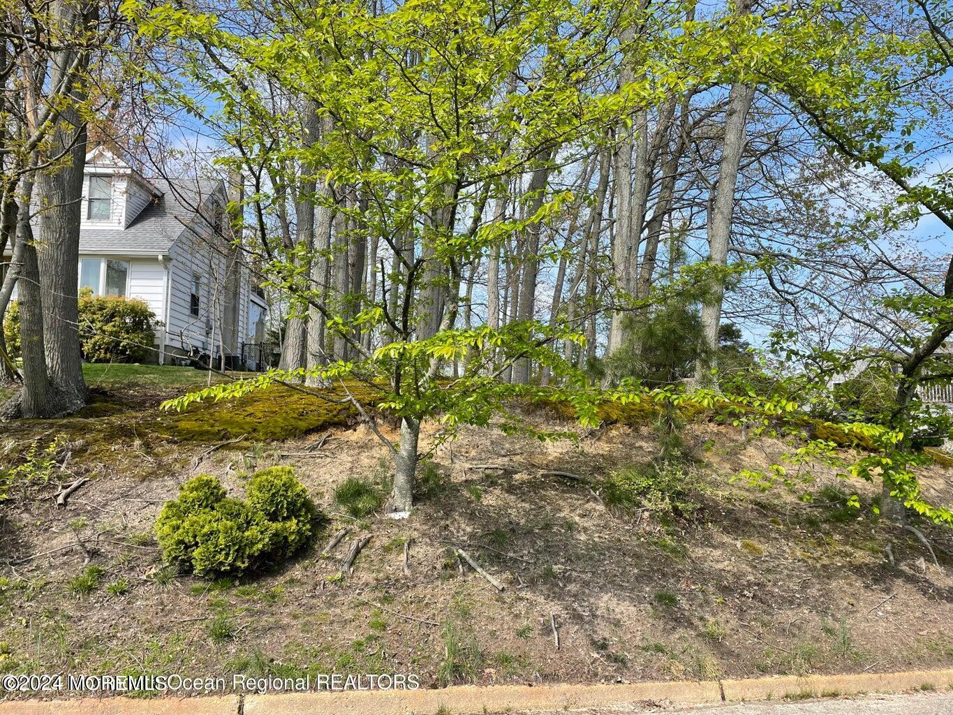 111 Prospect Avenue Neptune Township, NJ 07753 - Photo 7 of 11 111 pic 2