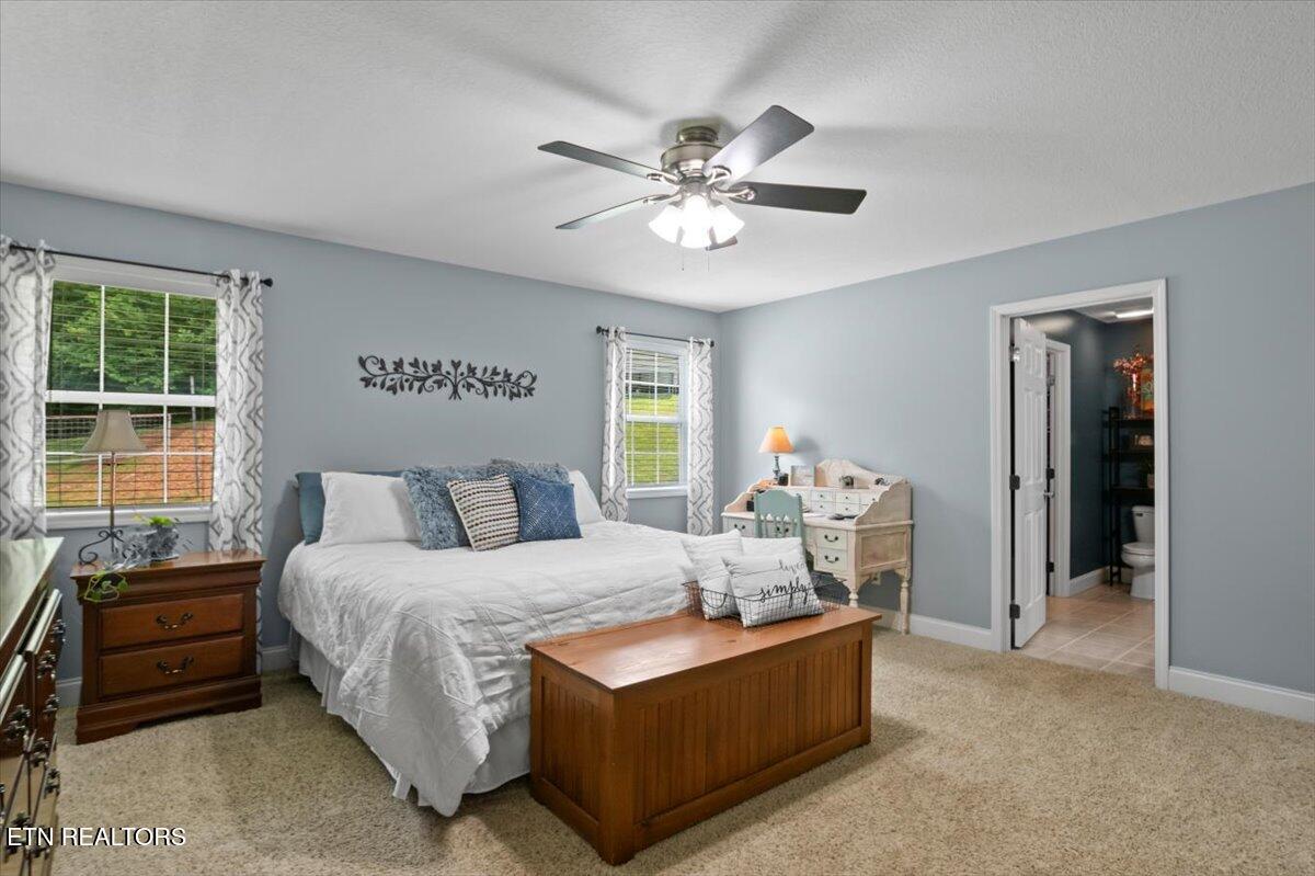 667 Pine Hollow Road Jacksboro, TN 37757 - Photo 47 of 60 32-Pine Hollow