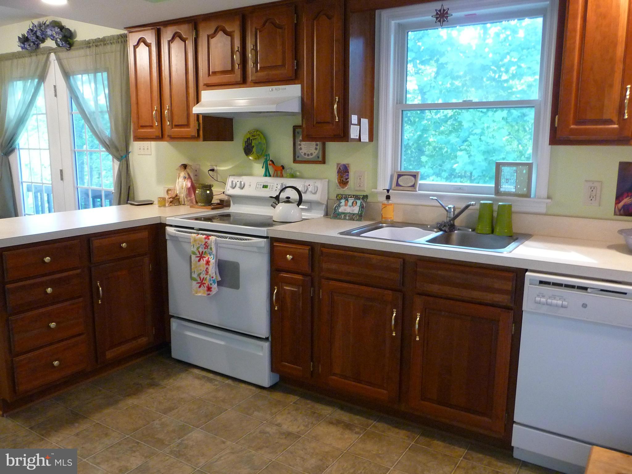 7349 Eggbornsville Road Rixeyville, VA 22737 - Photo 8 of 21 Kitchen
