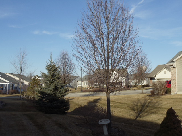 2455 Rolling Ridge Elgin, IL 60124 - Photo 17 of 25