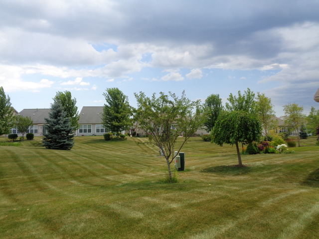 2455 Rolling Ridge Elgin, IL 60124 - Photo 2 of 25