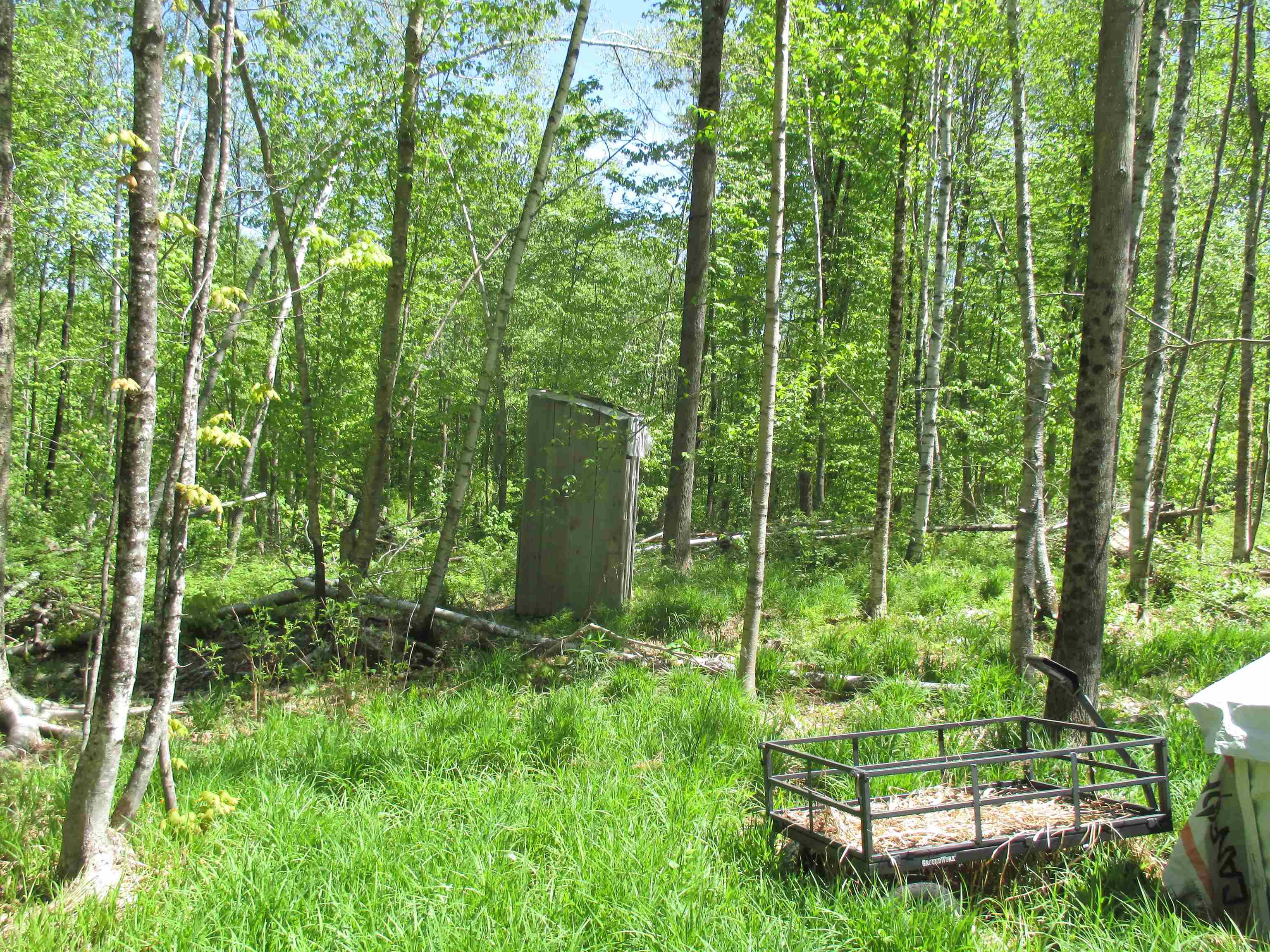 798 Ball Ground Road Westfield, VT 05874 - Photo 8 of 17