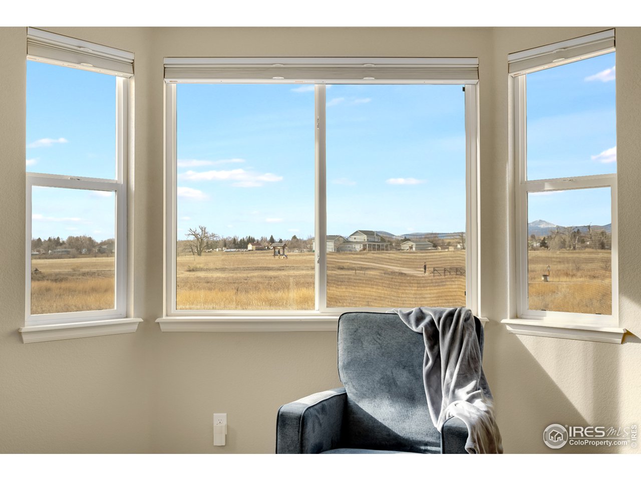 709 Snowy Plain Road Fort Collins, CO 80525 - Photo 16 of 40 Gallery Image 16
