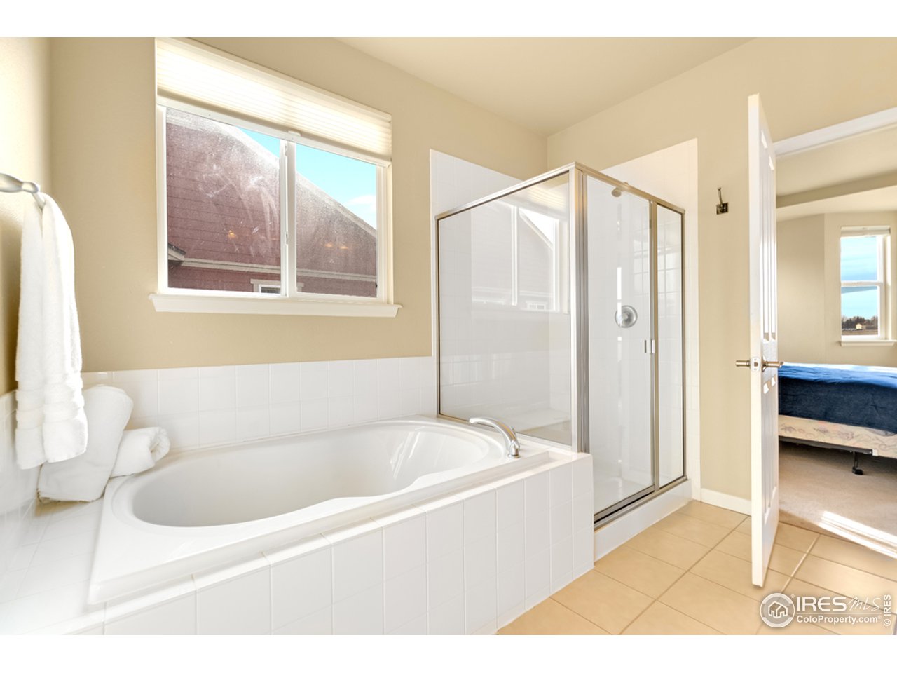 709 Snowy Plain Road Fort Collins, CO 80525 - Photo 19 of 40 Big soaking tub and glass walled shower
