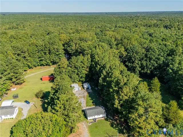 a plant that is in front of flowers