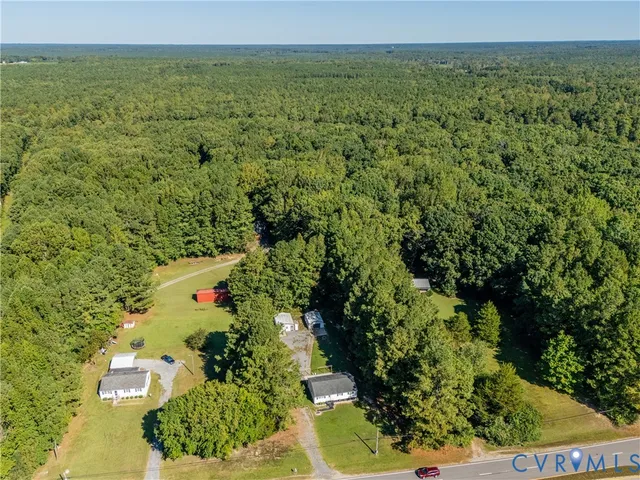 a view of a garden with a lot of plants and flowers