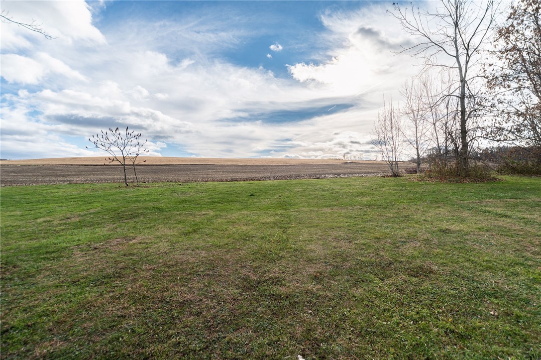 1153 Wyoming Road Covington, NY 14591 - Photo 30 of 36 back yard