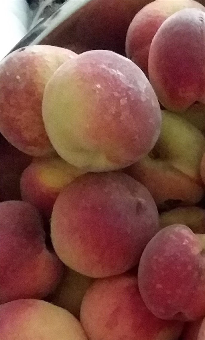 1153 Wyoming Road Covington, NY 14591 - Photo 36 of 36 a taste of sunshine