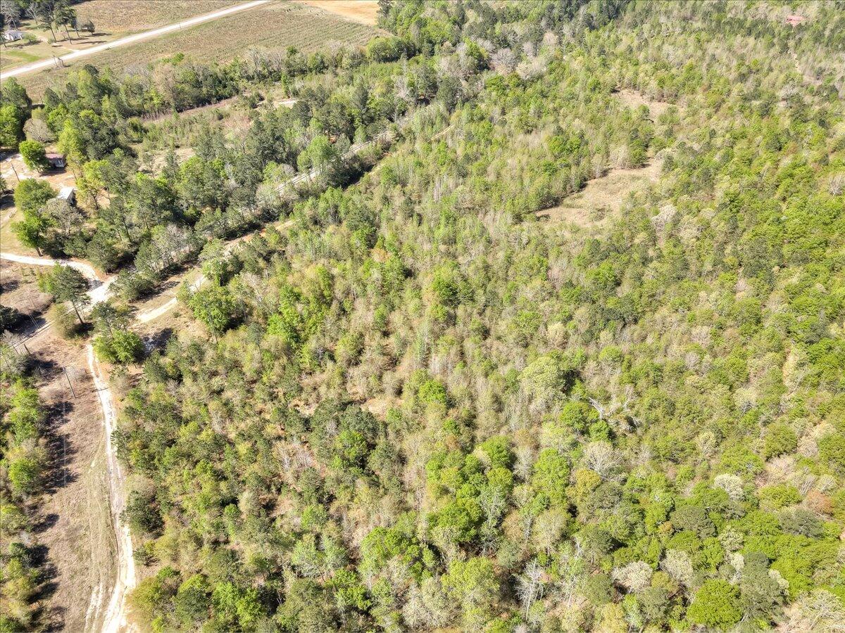 681 Claxton-Lively Road Waynesboro, GA 30830 - Photo 6 of 10 05-005-