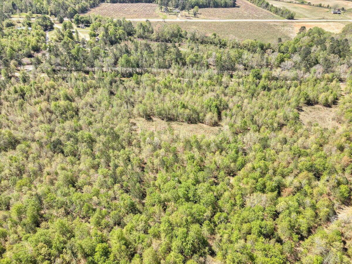 681 Claxton-Lively Road Waynesboro, GA 30830 - Photo 7 of 10 04-004-