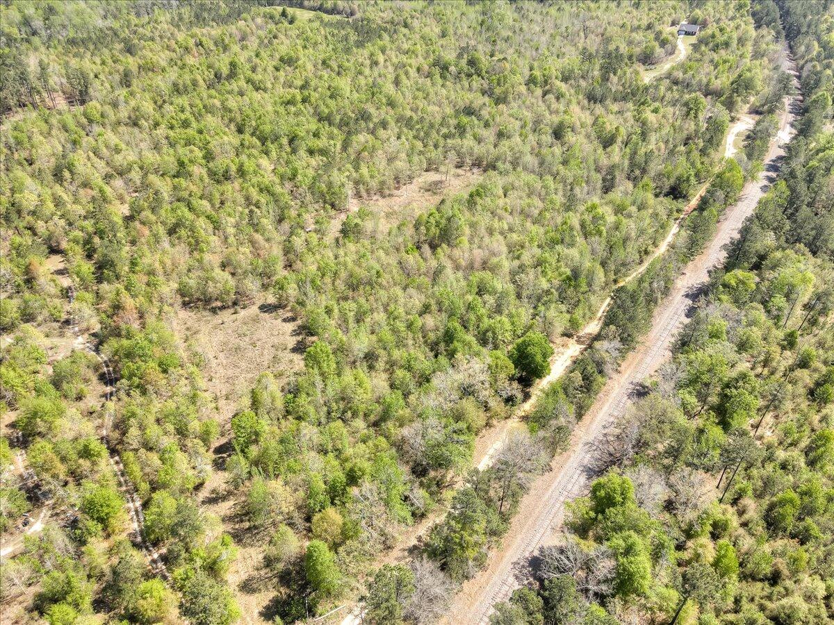 681 Claxton-Lively Road Waynesboro, GA 30830 - Photo 9 of 10 02-002-