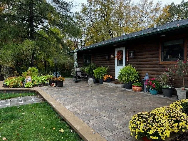 a view of a chair and table in the backyard with potted plants and a large tree