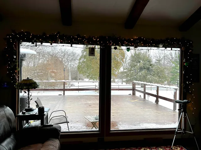 a view of swimming pool from a window