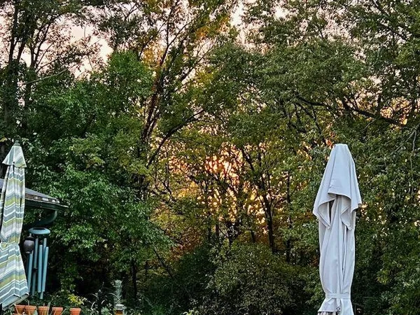 a view of a tree with a park next to a yard