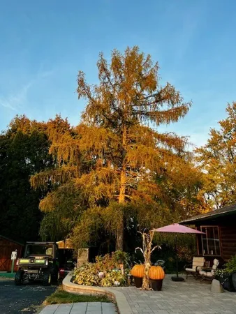 a street view with cars parked on the roadside