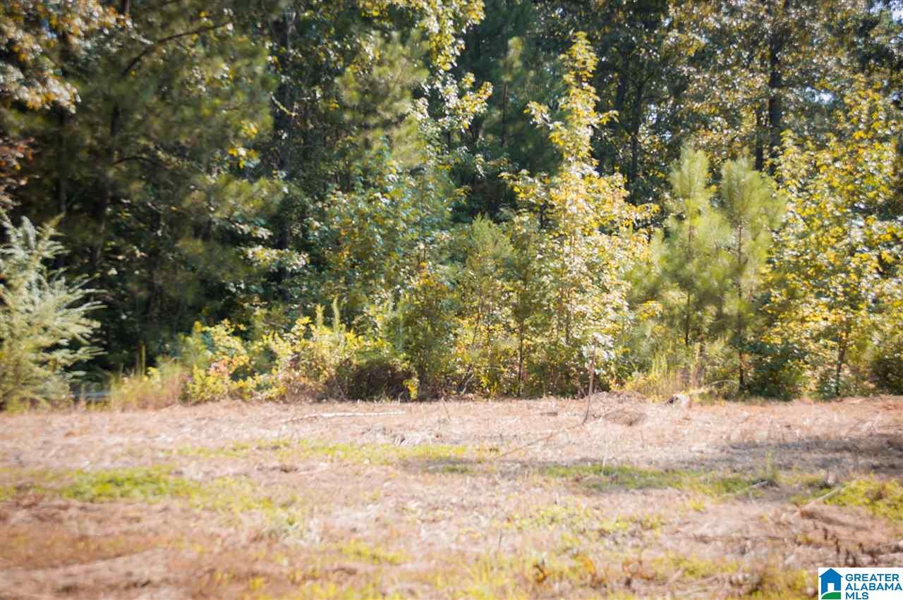 1054 Florida Road Pell City, AL 35125 - Photo 6 of 19