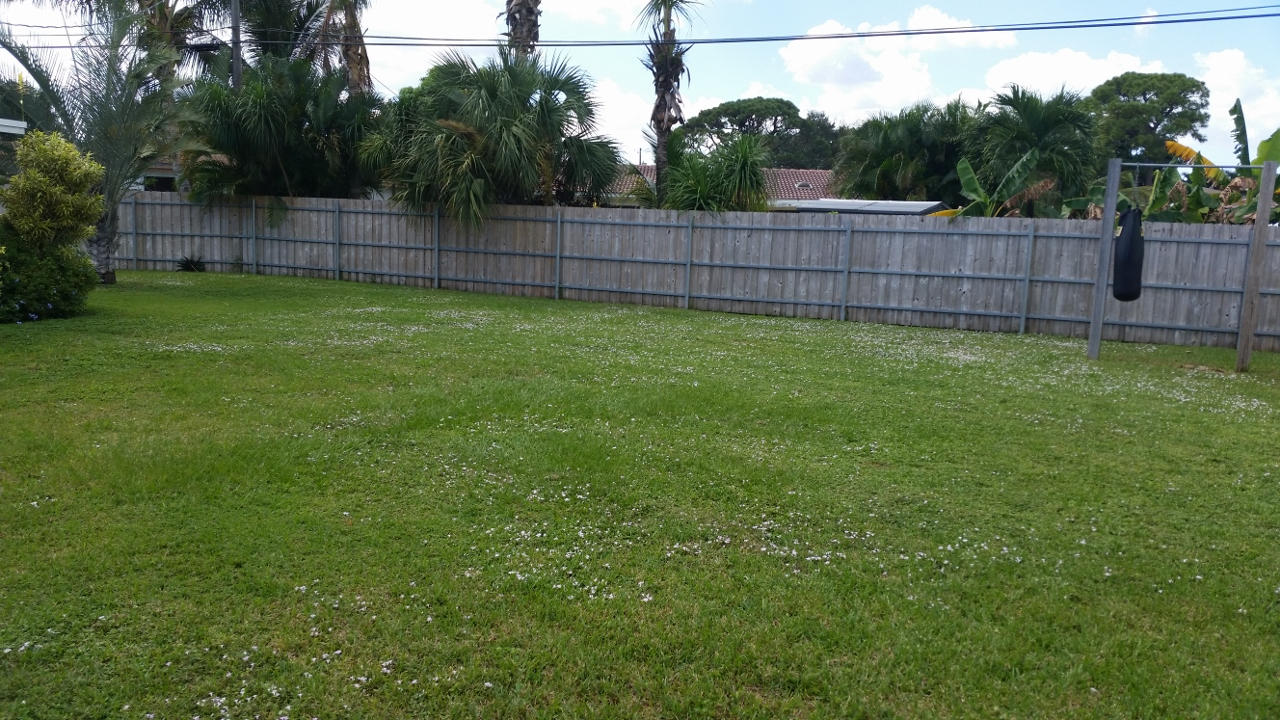 691 Northwest 12th Road Boca Raton, FL 33486 - Photo 9 of 10 691 NW 12 Rd- Backyard 1