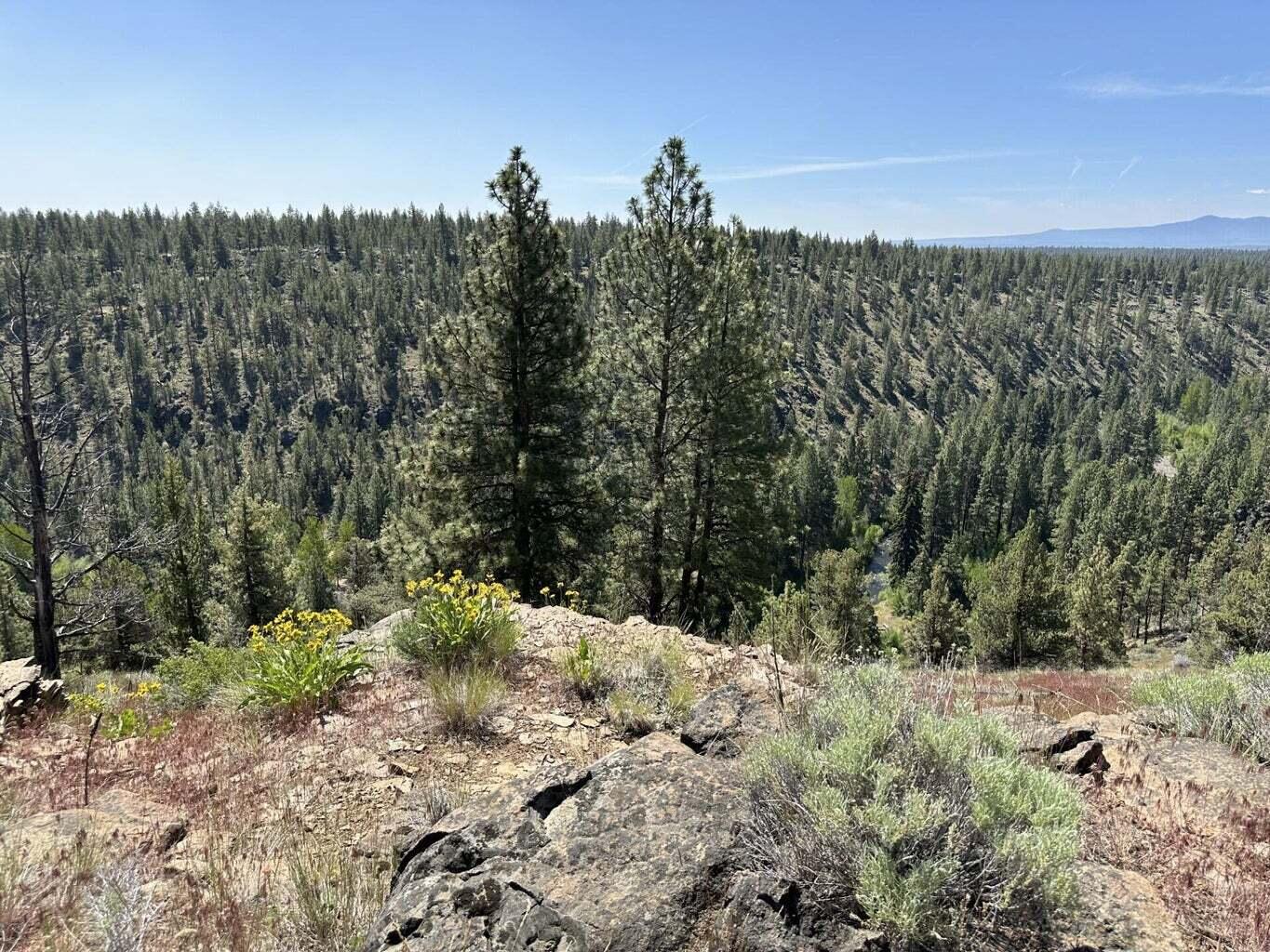 17127 Mountain View Road Sisters, OR 97759 - Photo 2 of 13 2