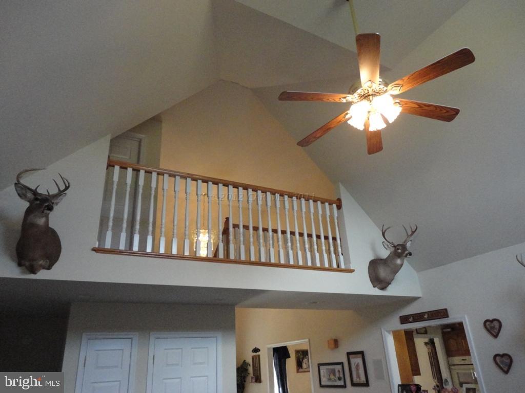 6645 Bent Pine Road Willards, MD 21874 - Photo 19 of 43 Gallery Image 19