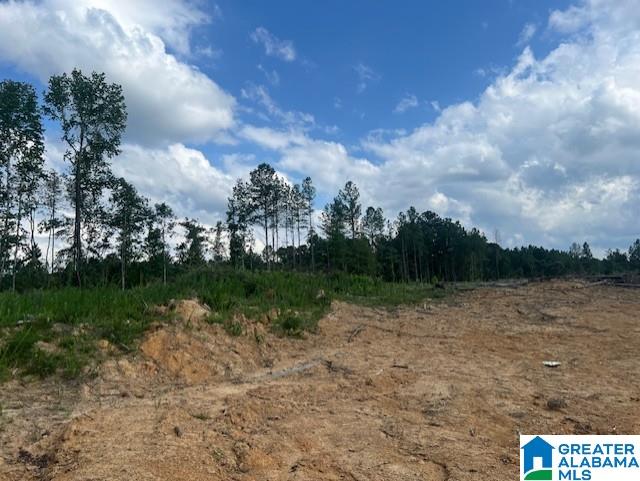 11482 Camp Oliver Road Adger, AL 35006 - Photo 32 of 48