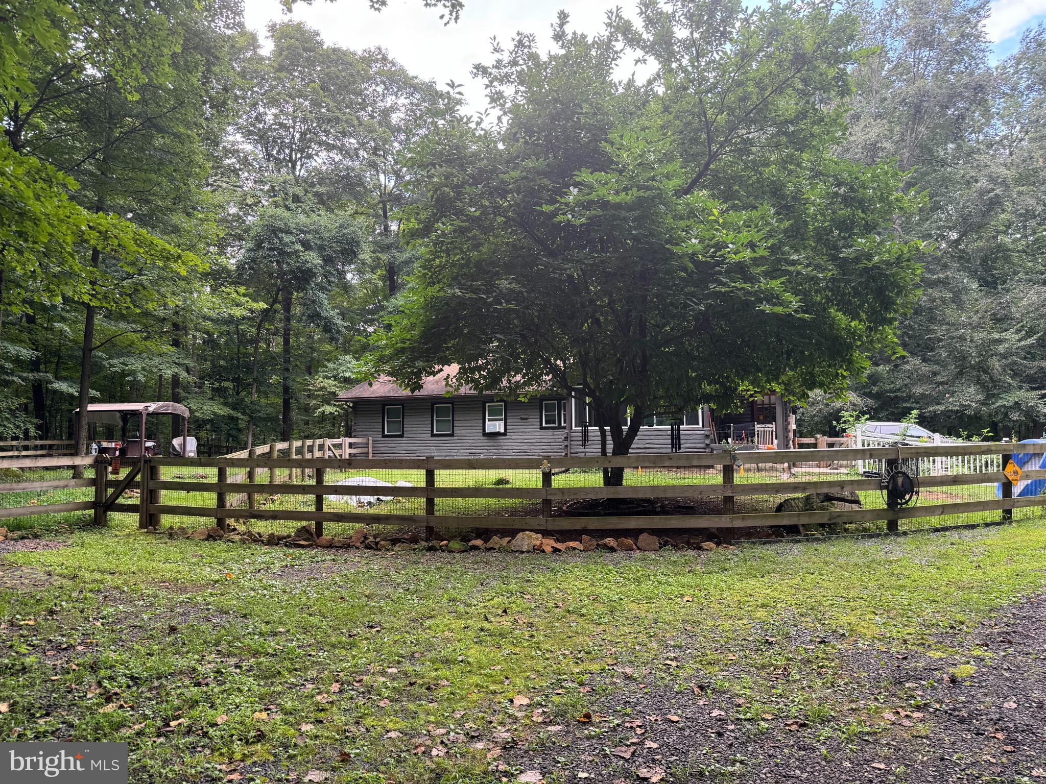 a view of a bench in a garden