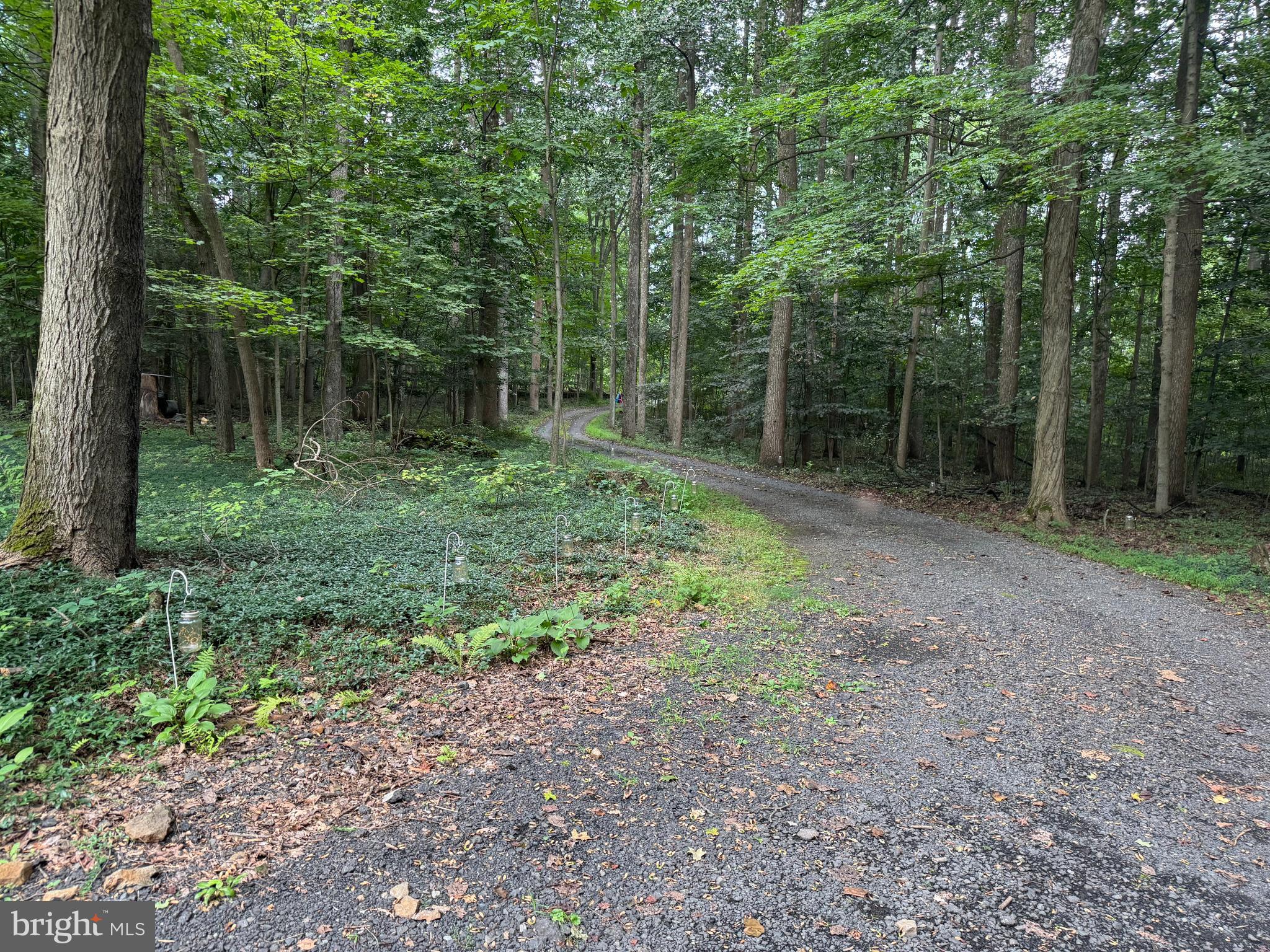 172 Stone Road Barto, PA 19504 - Photo 2 of 16 Secluded Winding Drive
