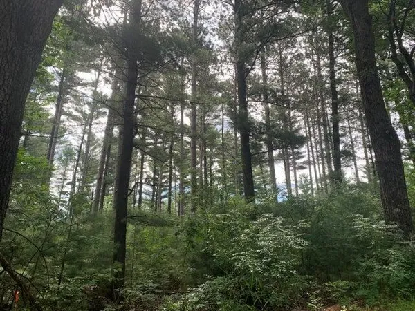 $169,000 | 22.35-ac 22.35-ac On Beaver Avenue, Nekoosa, WI 54457