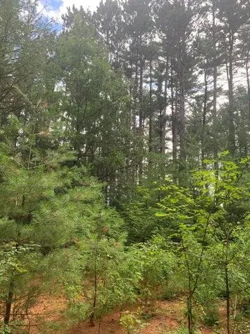 $175,000 | 22.35-ac 22.35-ac On Beaver Avenue, Nekoosa, WI 54457