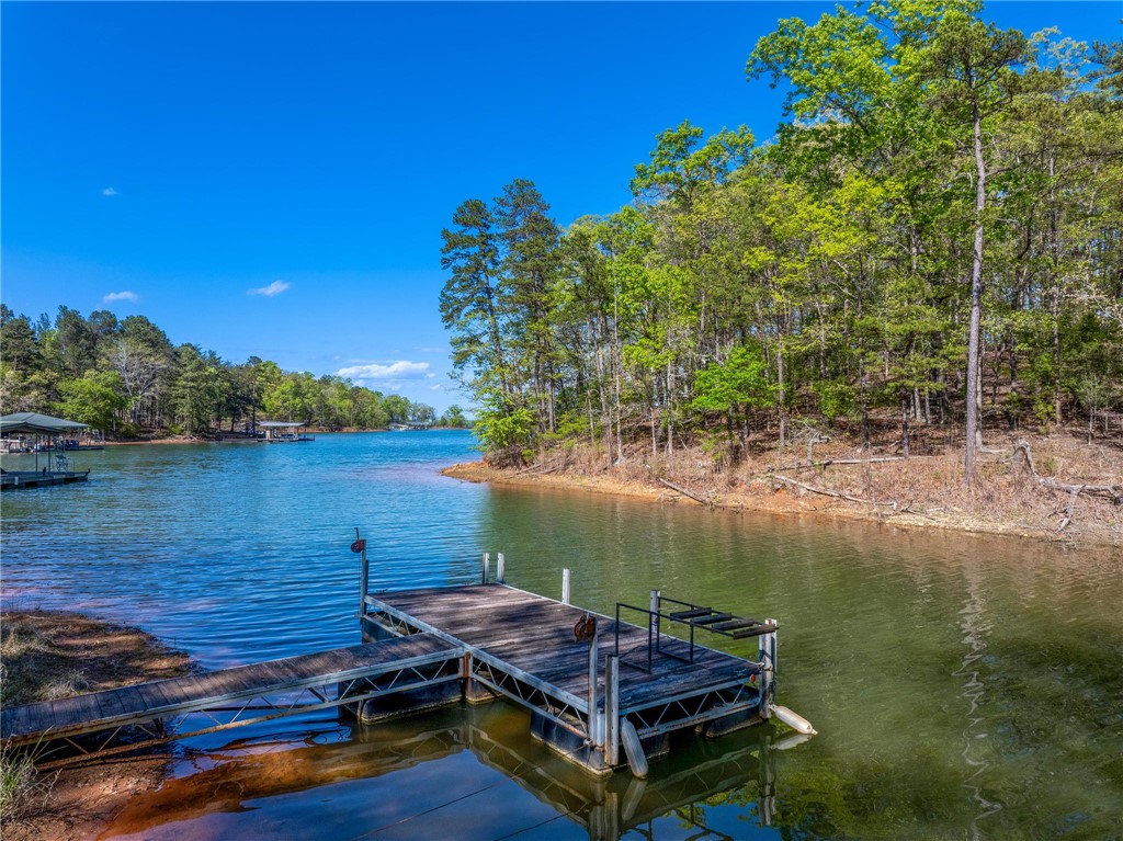 243 Beaver Lodge Road Hartwell, GA 30643 - Photo 23 of 29