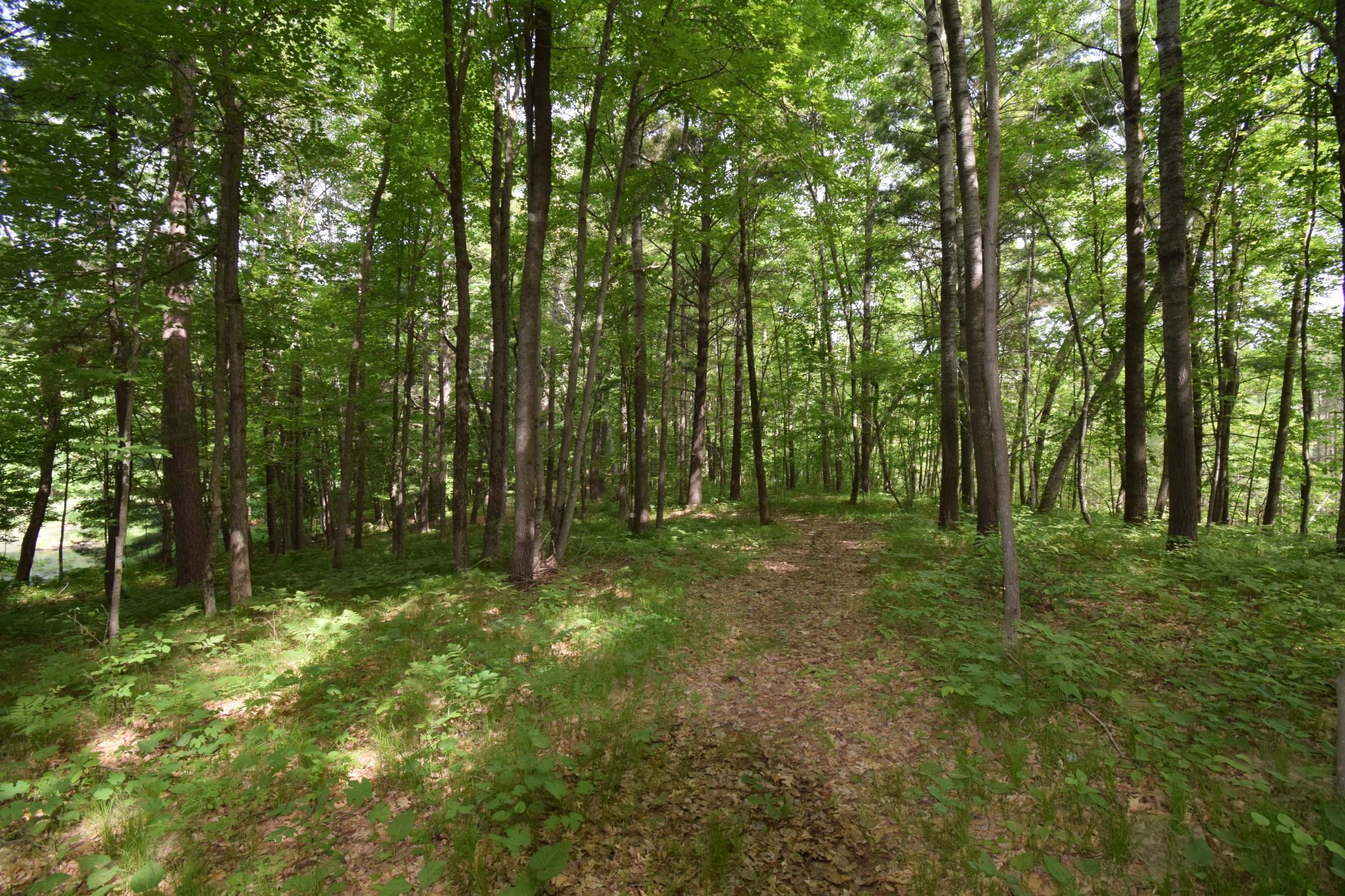 7118 Gordon Road Siren, WI 54872 - Photo 20 of 31