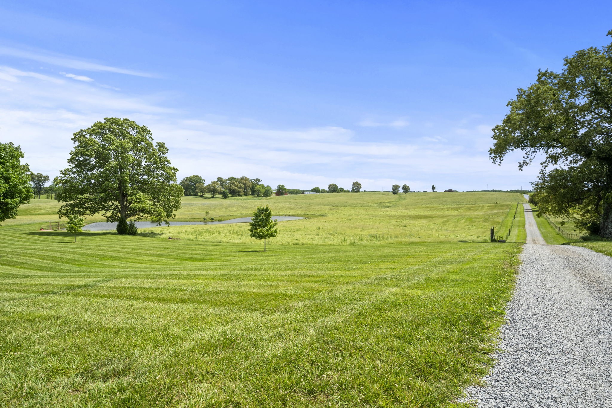 0 Somerville Road Cross Plains, TN 37049 - Photo 3 of 11 a view of a big yard with a large trees