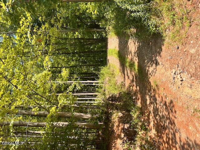 driveway off of main rd