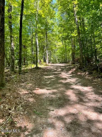 $49,000 | L7.41 Summit Lake Road, Argyle, NY 12809