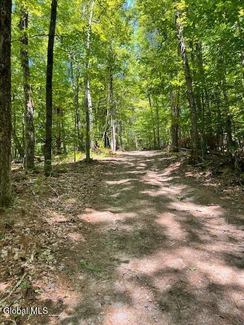 L7.41 Summit Lake Road Argyle, NY 12809 - Photo 3 of 13 IMG_8213