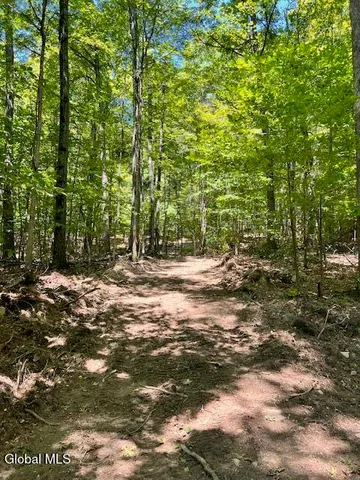 $49,000 | L7.41 Summit Lake Road, Argyle, NY 12809