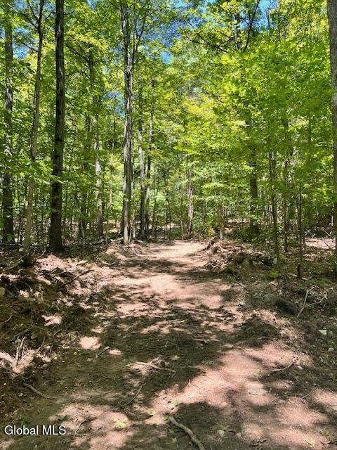 L7.41 Summit Lake Road Argyle, NY 12809 - Photo 4 of 13 IMG_8214