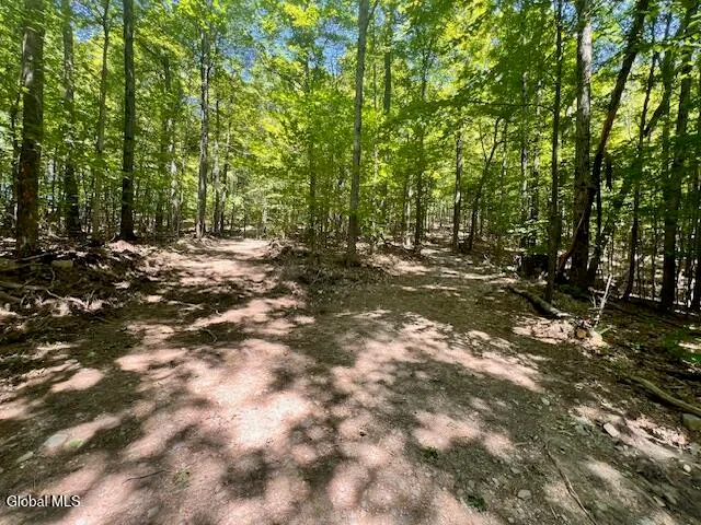 $49,000 | L7.41 Summit Lake Road, Argyle, NY 12809